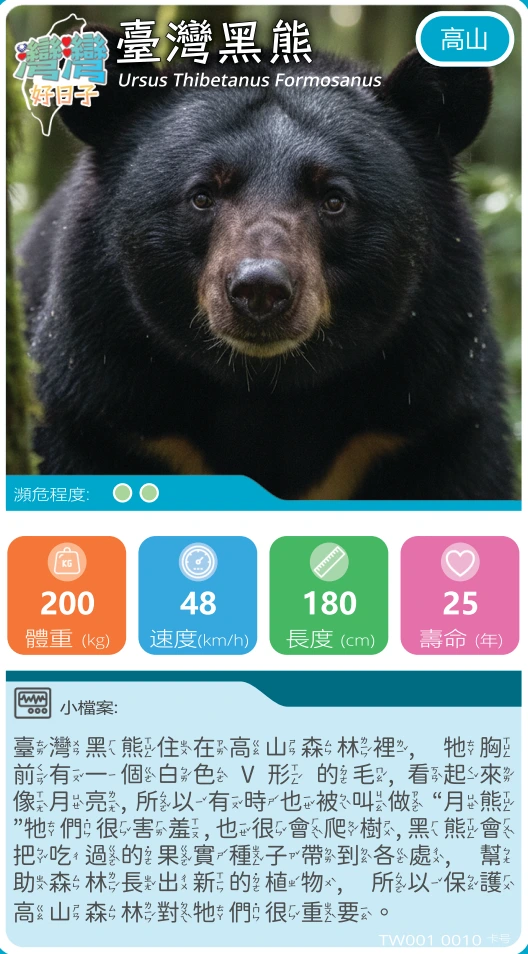 WanWanPlay Formosan Black Bear playing card